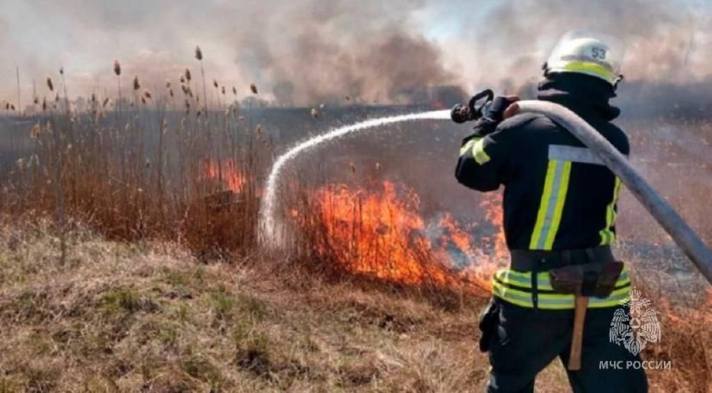 В Донском регионе участились случаи загорания сухой растительности и камыша